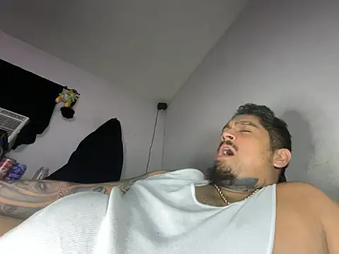 Vision1285 webcam