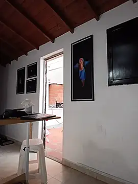 SilvaBranko webcam