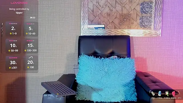 Jaadewest webcam