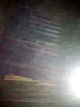 Loomaraj webcam