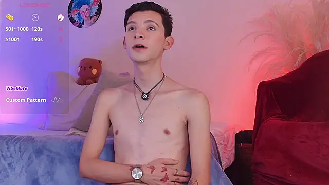 VicenteFerrer webcam