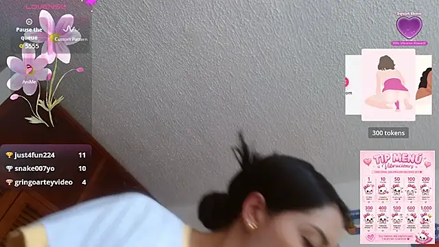 ivanna_dl webcam
