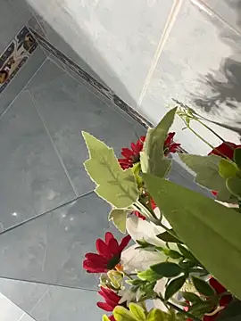 charlotte_stevenss_ webcam