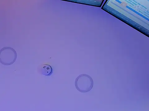 deluca_vega webcam