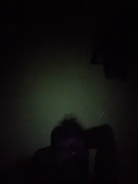 HidingSpraguea