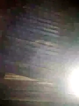 Loomaraj webcam