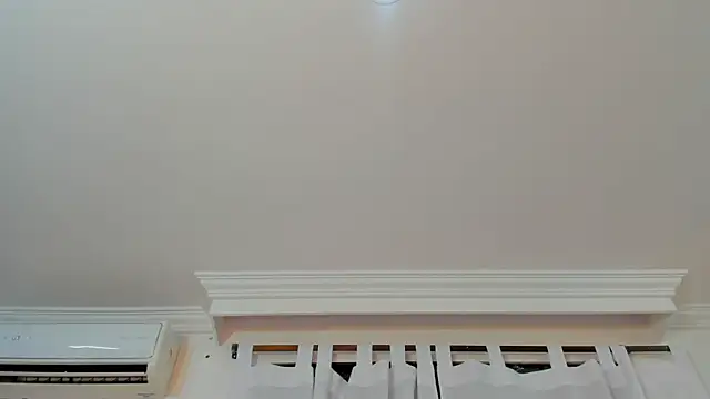 _foxy_00 webcam