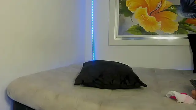 kaiagerbes3 webcam