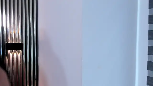 paulys_ webcam