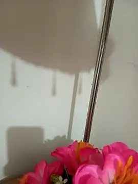 Tanha18 webcam
