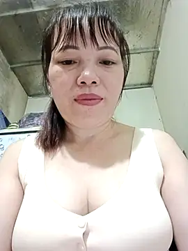 Sana-vn webcam