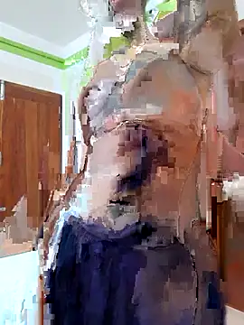 Arisha12 webcam