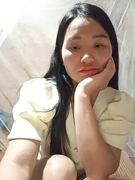 Td3di webcam