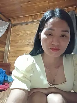Td3di webcam