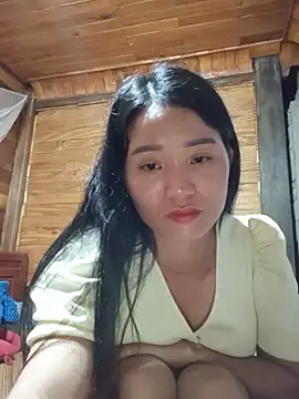 Td3di webcam