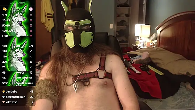 kinkywolf429