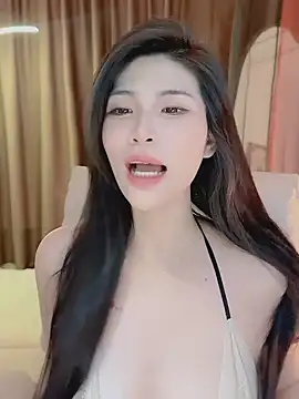 Vaidurya-Yolo webcam