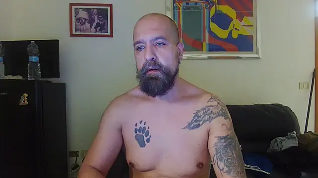 AMIRDIB2025 webcam