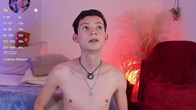 VicenteFerrer webcam