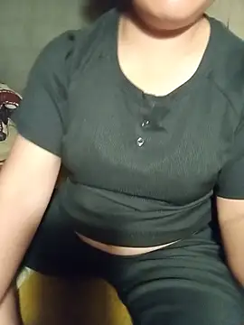 Ip34 webcam