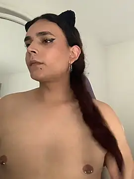 La-Gatiita-trans webcam