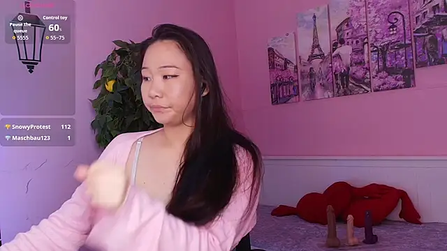 Inari_Okami_ webcam
