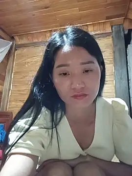 Td3di webcam
