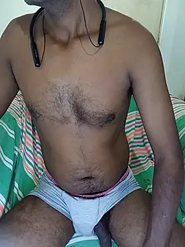 SL-Robinsan webcam