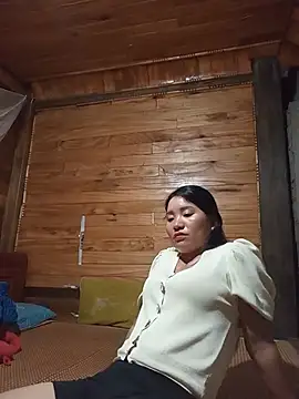 Td3di webcam