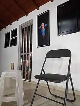 SilvaBranko webcam