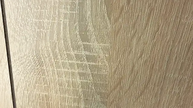 NoFace_Model webcam