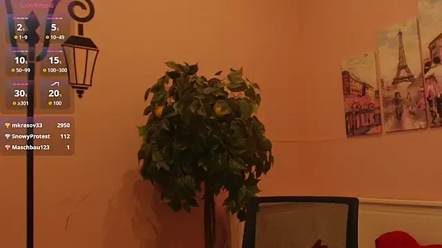 Inari_Okami_ webcam