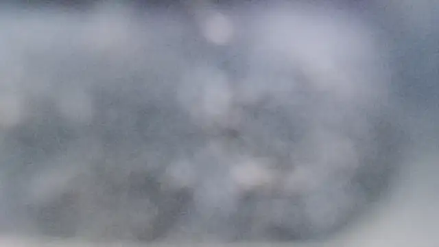 YourHotGreg webcam