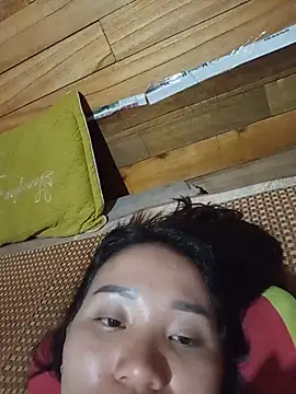 Td3di webcam