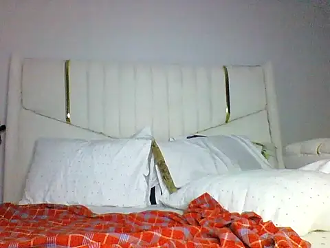 bluevile12 webcam