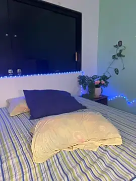AuroraChest webcam