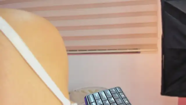 Rosevelvet_dh webcam