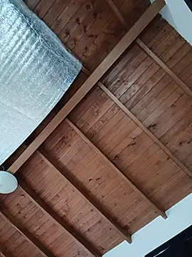SilvaBranko webcam