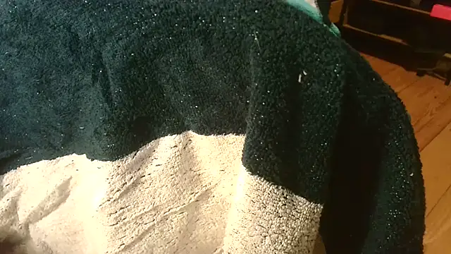 T0Yforeskin webcam