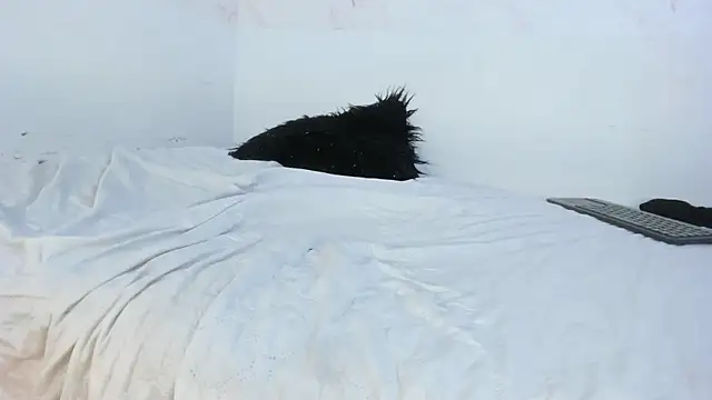 brian_smitth webcam