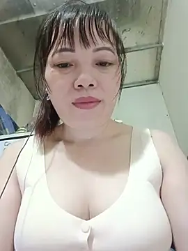 Sana-vn webcam