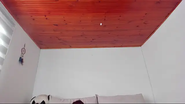 Arenne_rouse webcam