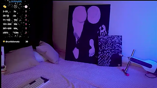 mary_lunar webcam