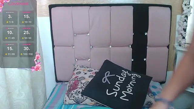 palmer_mIix webcam