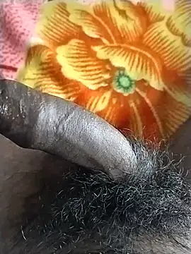 jellydicks webcam