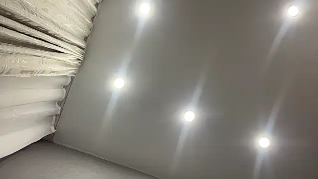 EvelynStars
