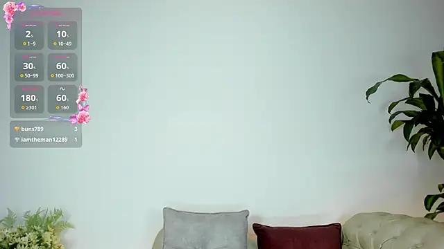 Jentokio webcam