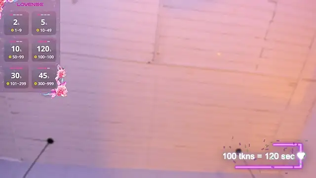 AuroraFlowers webcam