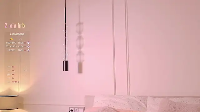 Rinas_secret webcam