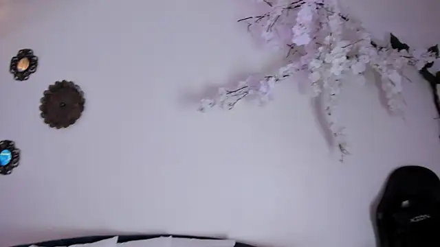 charlotte_mitchell_ webcam